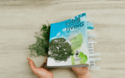 Embracing Carbon-Neutral Household Practices: A Step-by-Step Guide to Zero Carbon Living