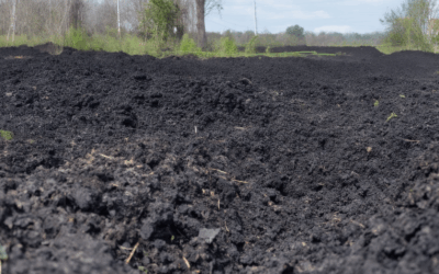 Biochar: A Sustainable Solution to Combat Climate Change – Pros, Cons, and Carbon Sequestration Explained