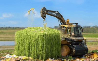 Transforming Waste into Sustainable Resources: Exploring Strategies for a Greener Future