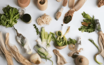Top 10 Eco-Friendly Zero-Waste Practices You Need to Try