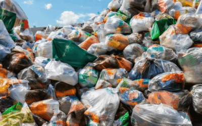 Discover Effective Strategies for Eco-Friendly Waste Management