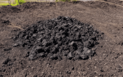 Exploring the Potential and Challenges of Resource Recycling with Biochar