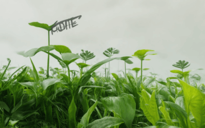 Ignite Sustainability: Eco-Friendly Environmental Practices Explained