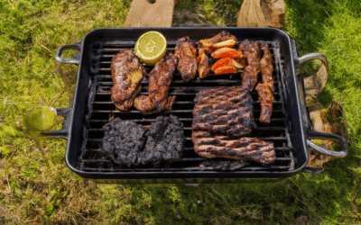 Transforming Grilling with Eco-Friendly Biochar: A Sustainable Alternative to Traditional Charcoal
