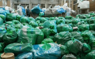 Unveiling Sustainable Solutions for Waste Management: Strategies for a Greener Future