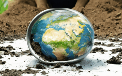 Empowering Sustainability with Environmentally Sustainable Biochar: Enhancing Our World