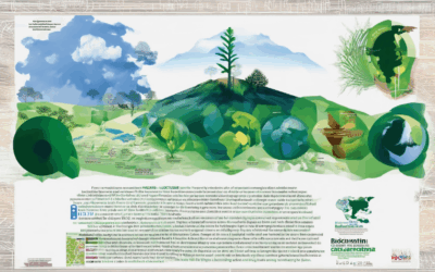 Empowering Climate Action: How Biochar-Based Strategies Reduce Carbon Footprints and Support SDGs