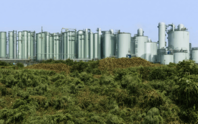 Exploring Green Waste-to-Energy Practices: Examples, Advantages Over Traditional Methods, Environmental Benefits, Sustainability Goals, Economic Value, and Primary Advantages of Implementation