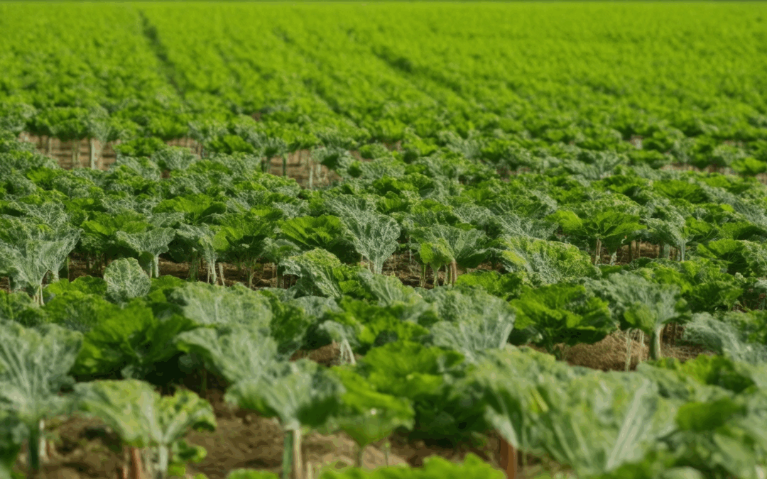What Are the Benefits of Implementing Carbon-Neutral Farming Practices?