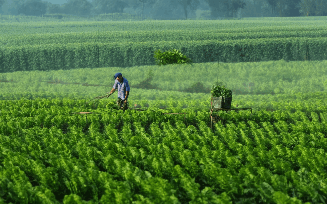 Exploring Eco-Friendly Agriculture Technology: A Comprehensive Guide to Boosting Sustainability and Farm Productivity