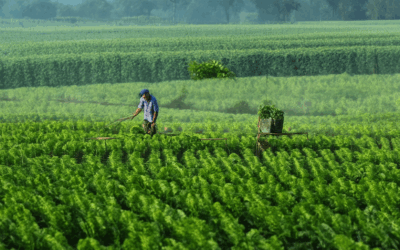 Exploring Eco-Friendly Agriculture Technology: A Comprehensive Guide to Boosting Sustainability and Farm Productivity