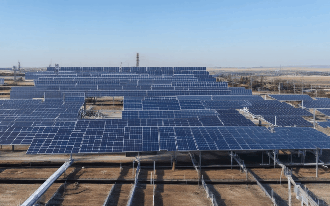 Exploring Renewable Carbon-Sequestering Materials: How to Choose the Best Options for a Sustainable Future