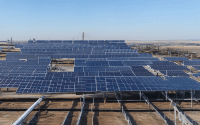 Exploring Renewable Carbon-Sequestering Materials: How to Choose the Best Options for a Sustainable Future