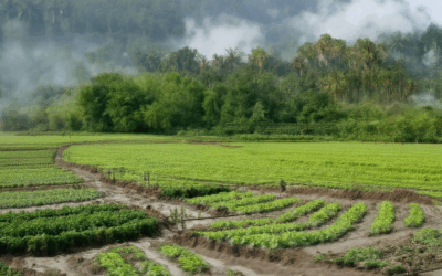 Exploring Climate-Smart Resource Recovery: A Comprehensive Guide to Superfund Cost Recovery, IRA Agriculture, and the Pillars of Sustainability