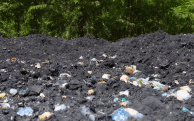 How to Transform Waste into Biochar: A Step-by-Step Guide to Eco-Friendly Production and Controversial Considerations