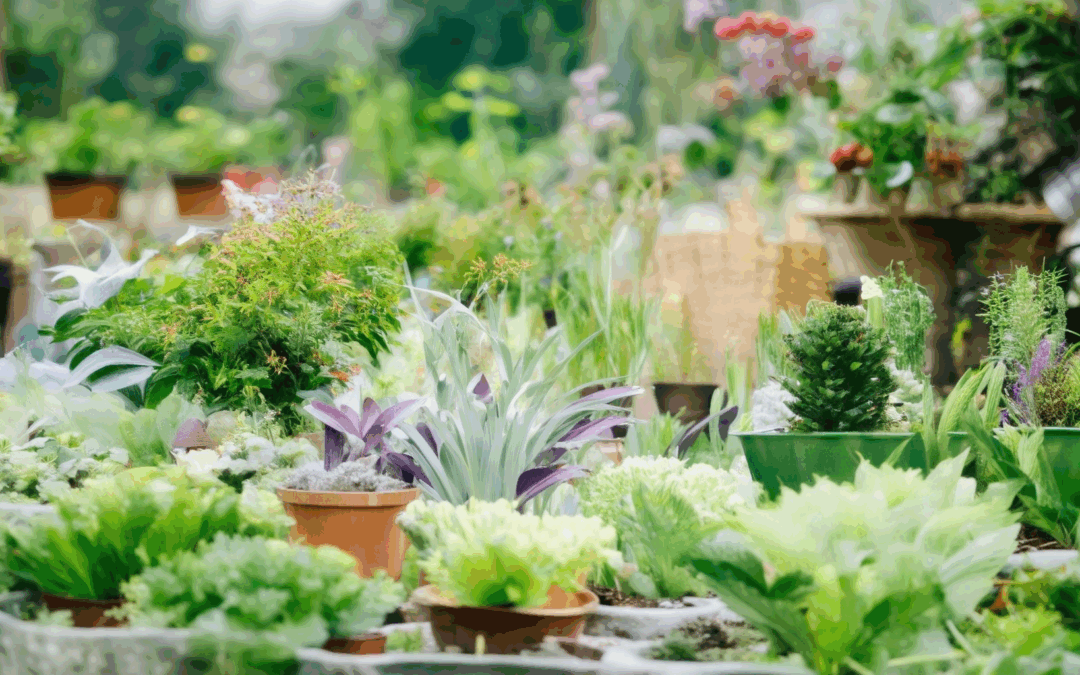 Climate-Conscious Gardening: Mastering Sustainable Practices for a Greener Future