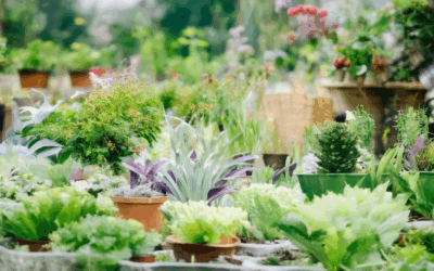 Climate-Conscious Gardening: Mastering Sustainable Practices for a Greener Future