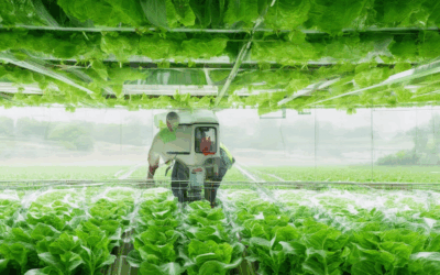 Elevate Your Farming Game with Eco-Friendly Tech Innovations: A Guide to Sustainable Farming Practices