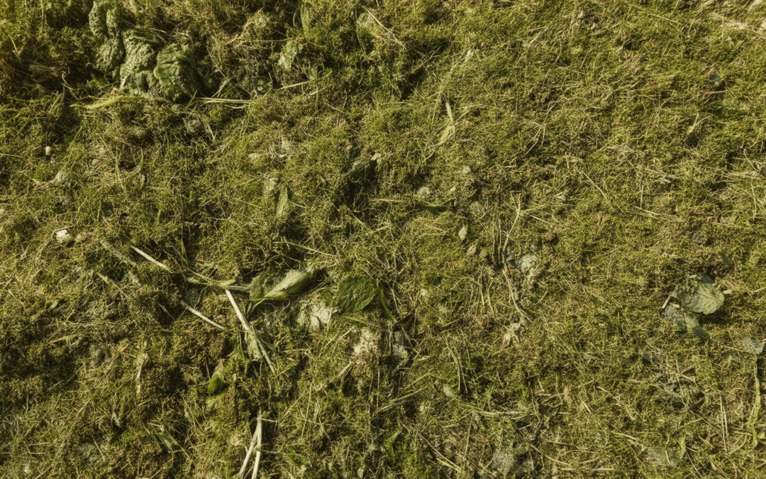 The Cheapest and Most Eco-Friendly Garden Waste Disposal Methods: Composting and DIY Solutions